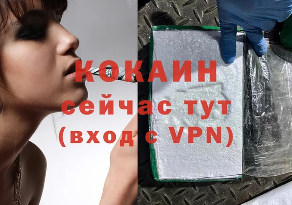 ГАЛЛЮЦИНОГЕННЫЕ ГРИБЫ Белокуриха