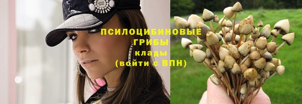 стаф Семёнов