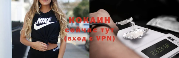 ГАЛЛЮЦИНОГЕННЫЕ ГРИБЫ Белокуриха