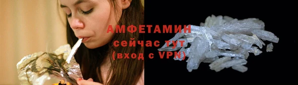 ГАЛЛЮЦИНОГЕННЫЕ ГРИБЫ Белокуриха