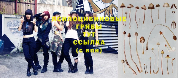 ГАЛЛЮЦИНОГЕННЫЕ ГРИБЫ Белокуриха